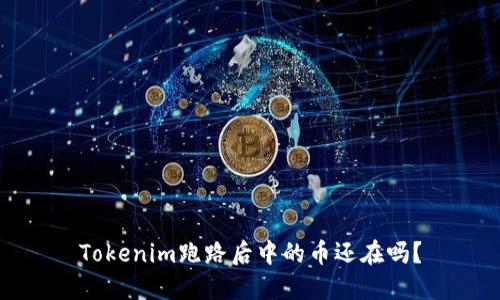 Tokenim跑路后中的币还在吗？